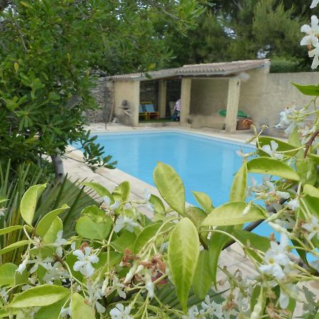 La Quietude De St Antoine - Piscine Privee Villa LʼIsle-sur-la-Sorgue Exteriör bild