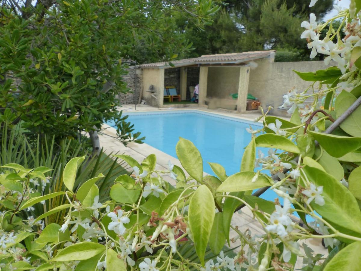 La Quietude De St Antoine - Piscine Privee Villa LʼIsle-sur-la-Sorgue Exteriör bild